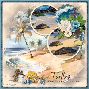 Turtles