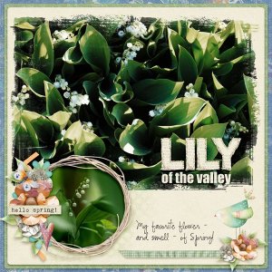 Lily of the Valley