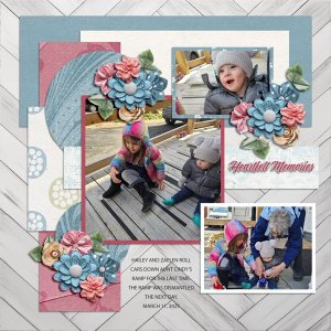 MEMORIES-TEMP2-5-25--WEB.jpg