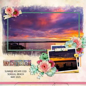 SUNRISE-MISS-FISH-5-25-WEB.jpg