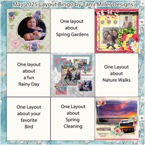 BINGO-MAY-2025--WEB.jpg