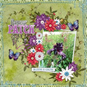Flower Patch