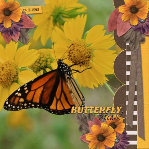 Butterfly Bliss