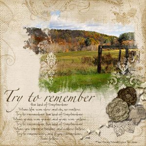 Try to Remember