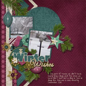 Winter Wishes