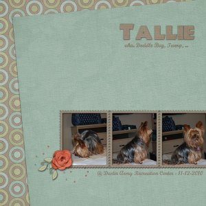 tallie