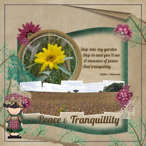 Peace and Tranquillity