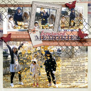 20121122-PinGTemplateMix2_LCOctPD