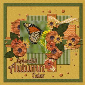 Splendid Autumn Color