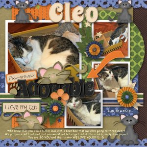 Cleo's Shoe Box