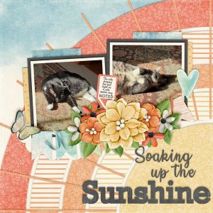 Sunshine