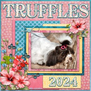 Lady Truffles Godiva 2024