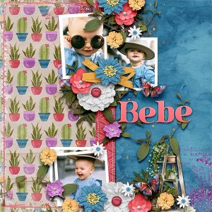 Bebe