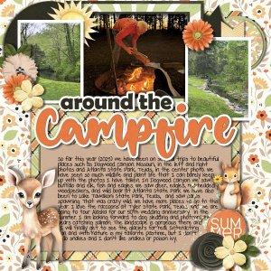 DLPatt_AroundTheCampfire2025_web.jpg