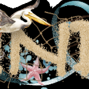 June-25-Siggy.png