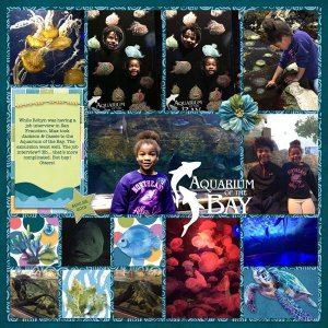 Aquarium of the Bay