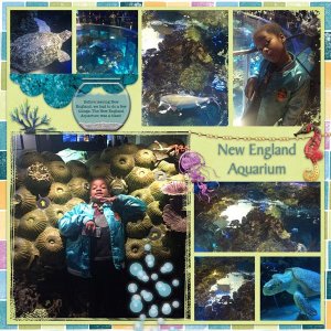 New England Aquarium
