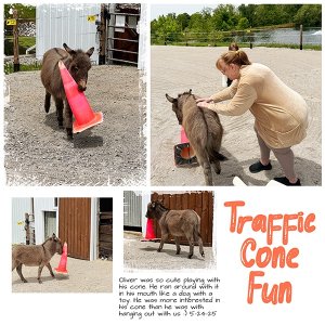 Cone Fun