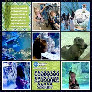 National Aquarium Month