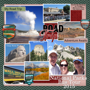 Natl-Parks-2015-Tinci_TRA1_3.png