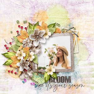 Bloom like it's your season