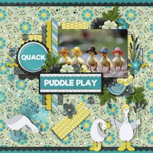 DLPatt_PuddlePlayDucks_web.jpg
