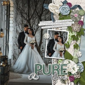 DLPatt_PureLove_web.jpg