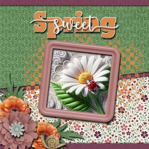 Sweet Spring
