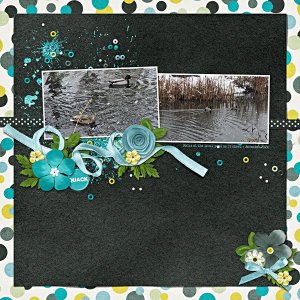 Ducks in the Pond