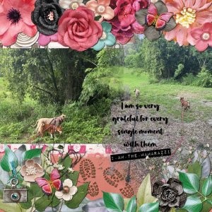 GS-RecipeCh-June25.jpg
