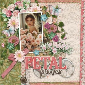 DLPatt_PetalPower_web.jpg