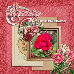 Roses in the Garden