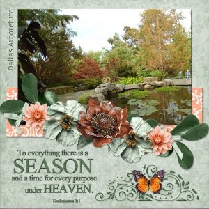 To everything there is a SEASON ...
