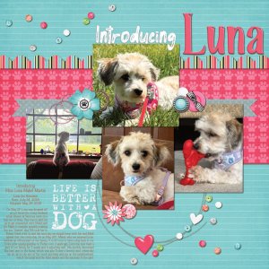 Introducing Luna 5-26-25