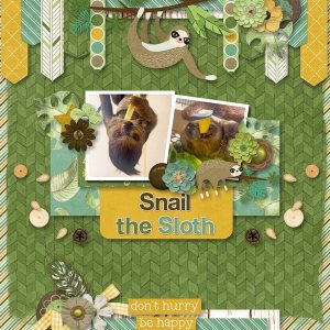 Snail the Sloth