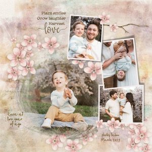 Love of Family