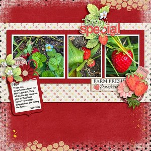 Moms-Strawberries.jpg