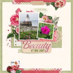 Beauty at Bug Light