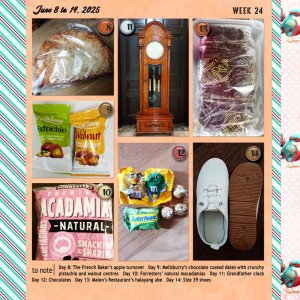 week 24
