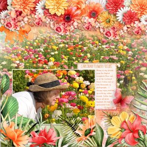 Carlsbad Flower Fields