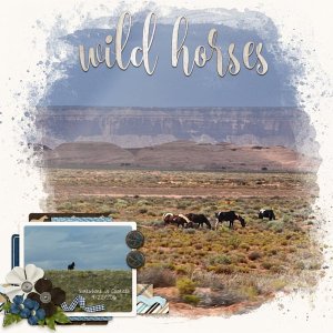 Wild Horses