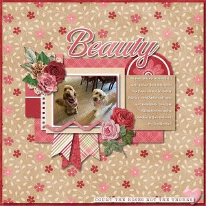 Beauty.jpg