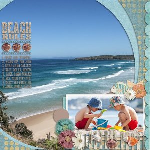 Beach Rules.jpg
