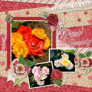 Roses_ollitko_600.jpg
