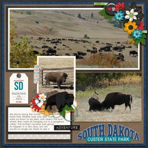 Buffalo 2