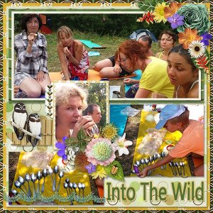 IntoTheWild_ollitko_600.jpg