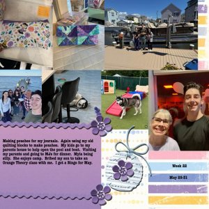 2025-week22.jpg