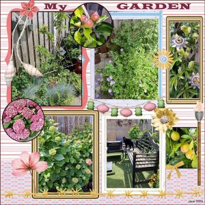 20e -June 2025 Photography Challenge- My garden.jpg