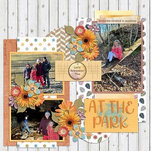 At-The-Park-web.jpg