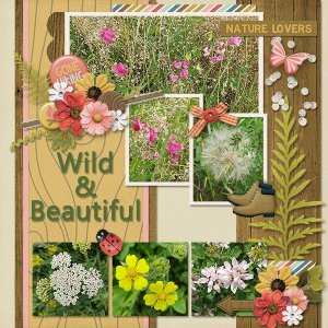 Wild&Beautiful_ollitko_600.jpg
